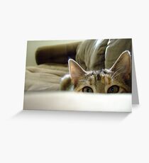 Little Creep. Greeting Card
