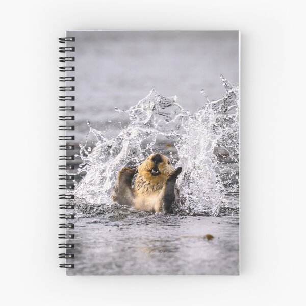 Item preview, Makin a Splash ! designed and sold by ColetteHillPhotography.