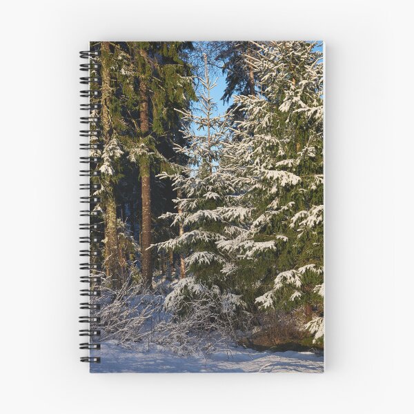 Item preview, Oh yes the christmas is over said the spruce designed and sold by Jouko Lehto Photography.