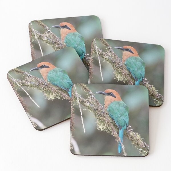 Item preview, MotMot designed and sold by TheFeywildVault.