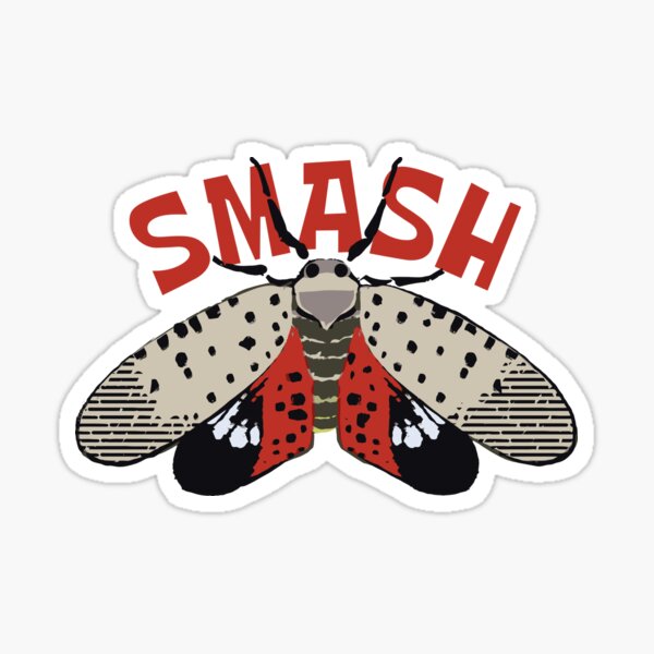 Item preview,  Smash The Spotted Lanternfly designed and sold by Acts Of Paint.
