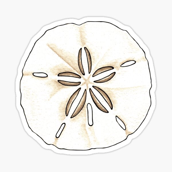 Dollars de sable Sticker