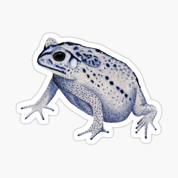 Item preview, Black-Spined Toad designed and sold by Platinumfrog.