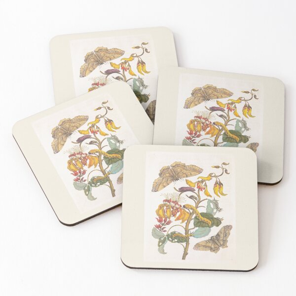 Item preview, Maria Sibylla Merian Swamp Immortelle with Giant Silk Moth designed and sold by TeeARTHY.