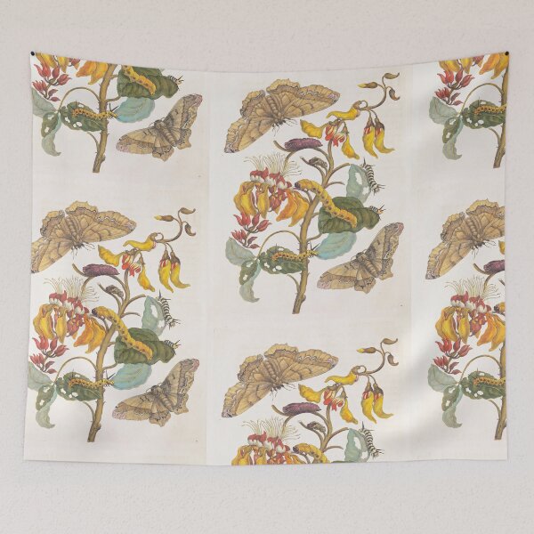 Item preview, Maria Sibylla Merian Swamp Immortelle with Giant Silk Moth designed and sold by TeeARTHY.