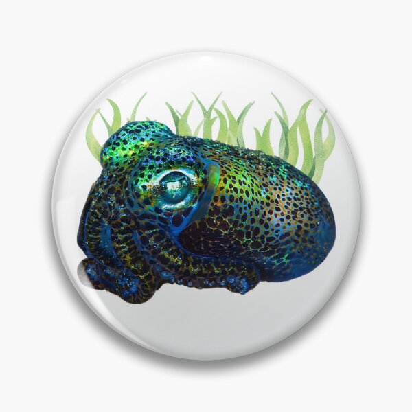 Item preview, Bobtail Squid with Sea Grass designed and sold by EdmondsLove.