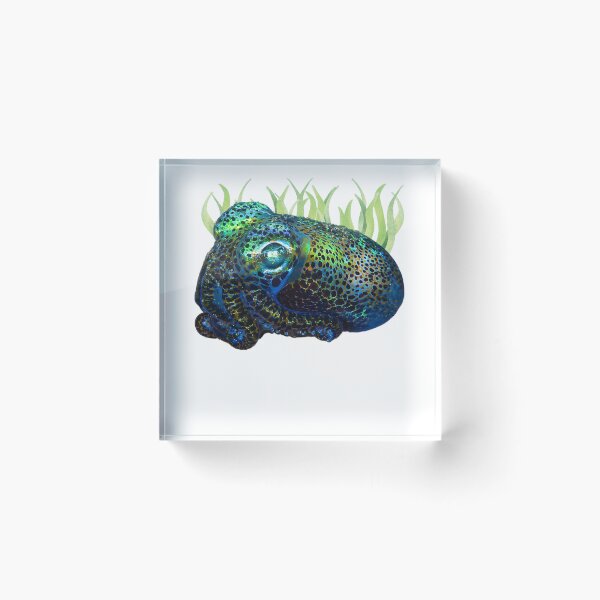 Item preview, Bobtail Squid with Sea Grass designed and sold by EdmondsLove.