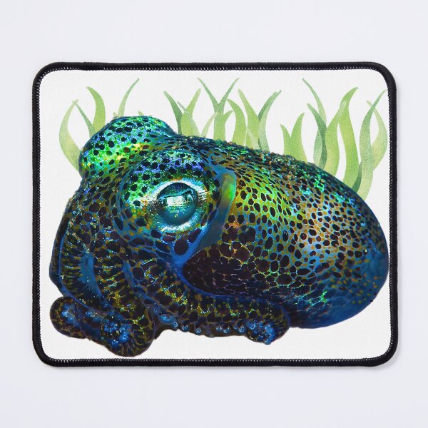 Item preview, Bobtail Squid with Sea Grass designed and sold by EdmondsLove.