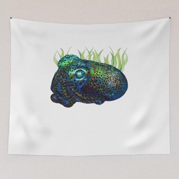 Item preview, Bobtail Squid with Sea Grass designed and sold by EdmondsLove.