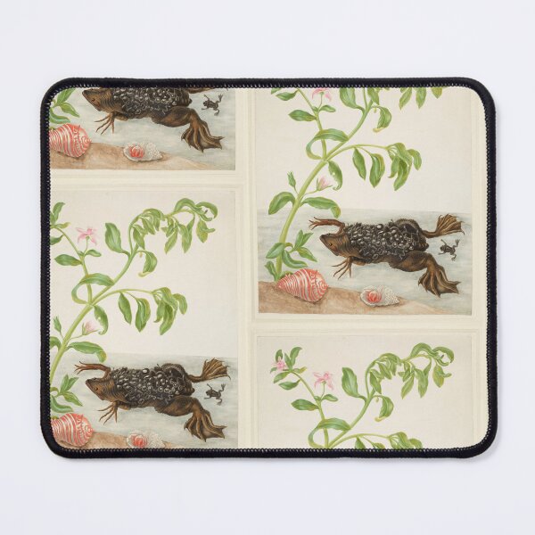 Item preview,  Maria Sibylla Merian Shoreline Purslane and Suriname Toad designed and sold by TeeARTHY.
