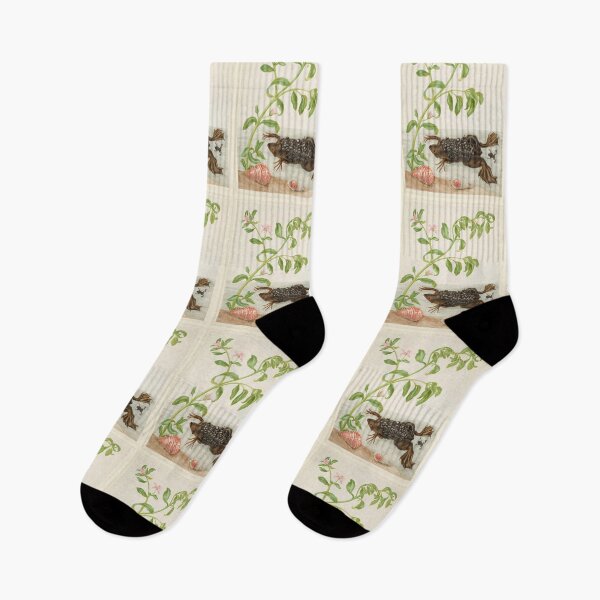 Item preview,  Maria Sibylla Merian Shoreline Purslane and Suriname Toad designed and sold by TeeARTHY.