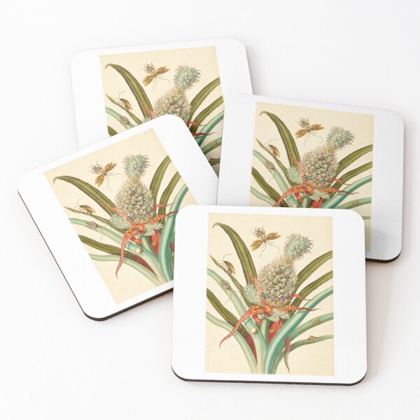 Item preview,  Maria Sibylla Merian  Pineapple with Australian and German Cockroach designed and sold by TeeARTHY.