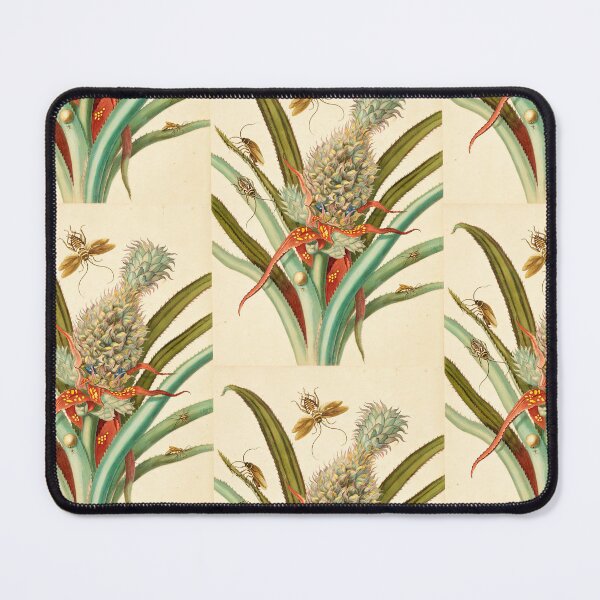 Item preview, Maria Sibylla Merian Pineapple with Australian and German Cockroach designed and sold by TeeARTHY.