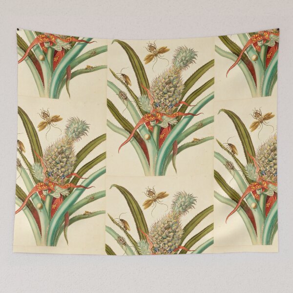 Item preview,  Maria Sibylla Merian  Pineapple with Australian and German Cockroach designed and sold by TeeARTHY.