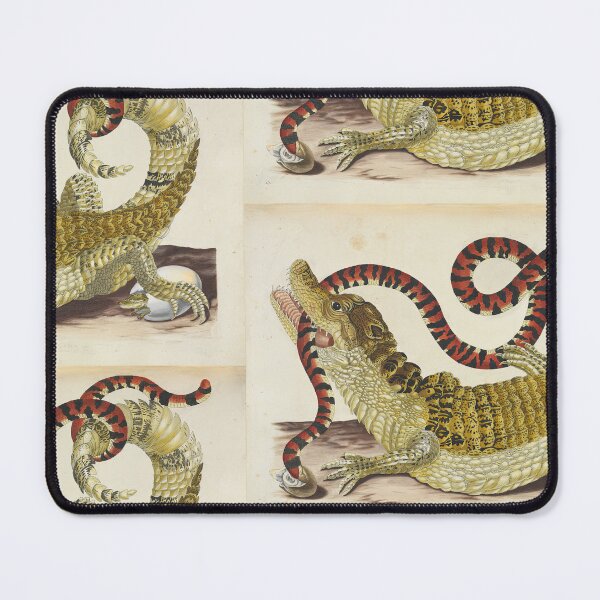 Item preview, Maria Sibylla Merian Surinam Caiman biting South American False Coral Snake designed and sold by TeeARTHY.
