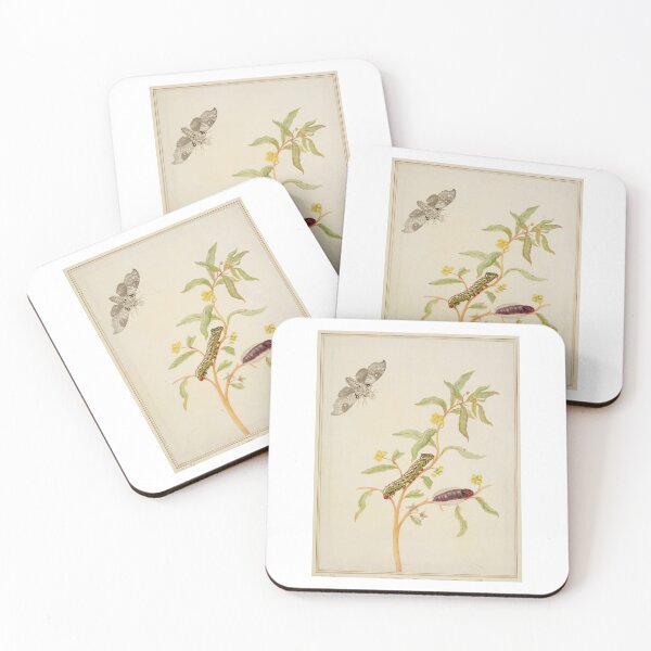 Item preview,  Maria Sibylla Merian  Mexican Primrose-Willow with Madoryx bubastus moth designed and sold by TeeARTHY.