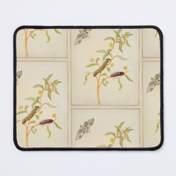 Item preview, Maria Sibylla Merian Mexican Primrose-Willow with Madoryx bubastus moth designed and sold by TeeARTHY.
