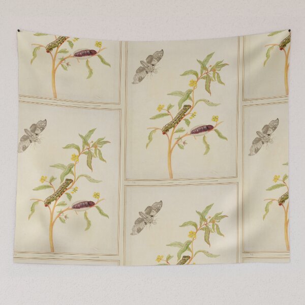 Item preview,  Maria Sibylla Merian  Mexican Primrose-Willow with Madoryx bubastus moth designed and sold by TeeARTHY.