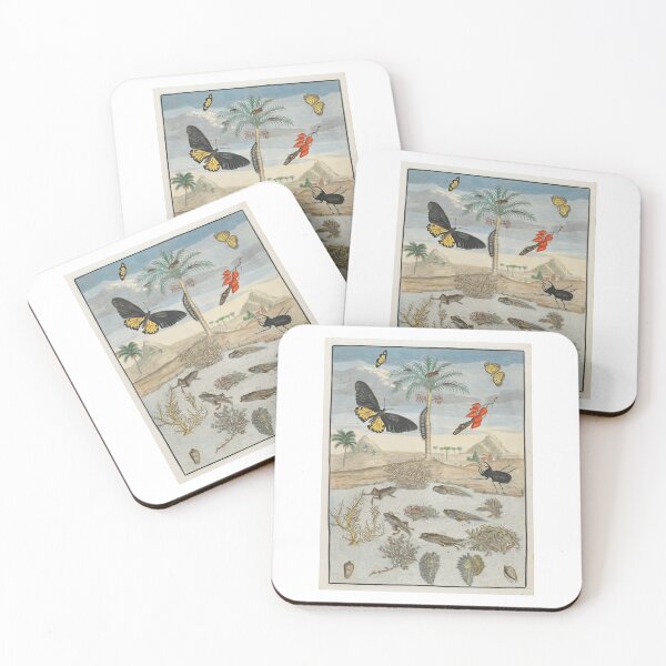 Item preview, Insects and Fish with Island Background  Maria Sibylla Merian  designed and sold by TeeARTHY.