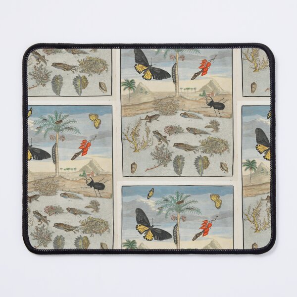 Item preview, Insects and Fish with Island Background Maria Sibylla Merian designed and sold by TeeARTHY.
