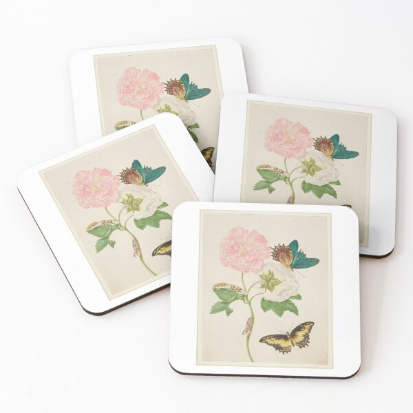 Item preview, Confederate Rose with Androgeus Swallowtail Butterfly  Maria Sibylla Merian  designed and sold by TeeARTHY.