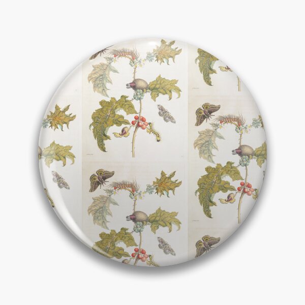 Item preview, Coconilla with Silk Moth and Molippa Nibasa Moth  Maria Sibylla Merian  designed and sold by TeeARTHY.