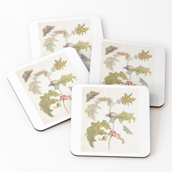 Item preview, Coconilla with Silk Moth and Molippa Nibasa Moth  Maria Sibylla Merian  designed and sold by TeeARTHY.