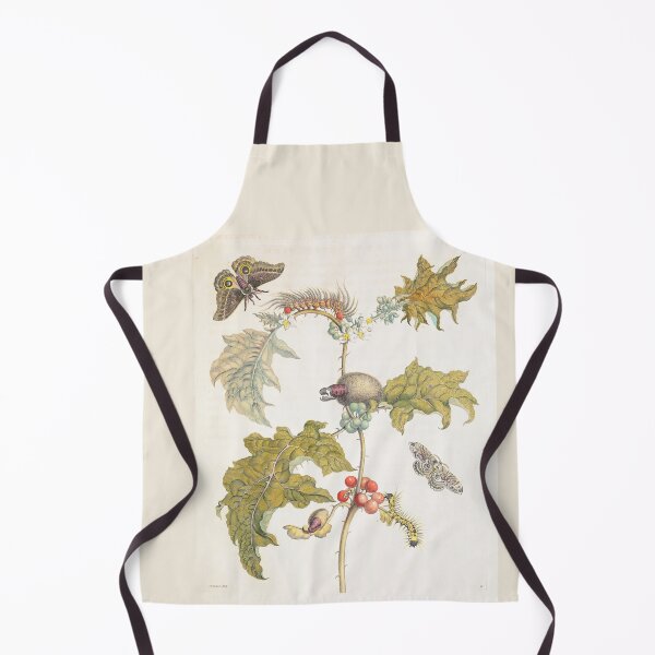 Item preview, Coconilla with Silk Moth and Molippa Nibasa Moth  Maria Sibylla Merian  designed and sold by TeeARTHY.