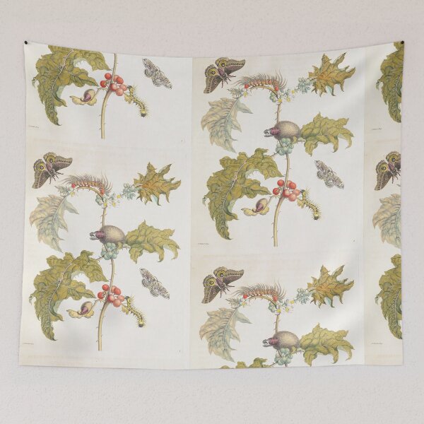 Item preview, Coconilla with Silk Moth and Molippa Nibasa Moth  Maria Sibylla Merian  designed and sold by TeeARTHY.