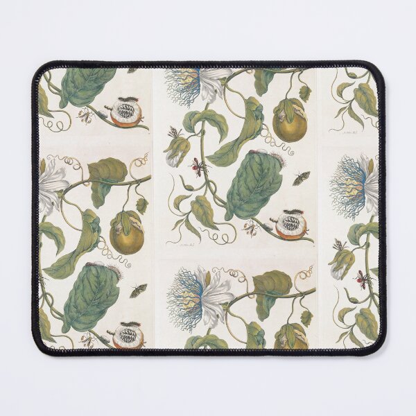 Item preview, Branch of Water Lemon with Snout Moth, Brush-Footed Butterfly larva and Flag-Footed Bug Maria Sibylla Merian designed and sold by TeeARTHY.
