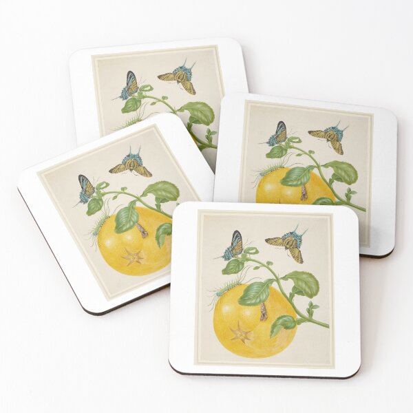 Item preview, Branch of Pomelo with Green-Banded Urania Moth  Maria Sibylla Merian  designed and sold by TeeARTHY.