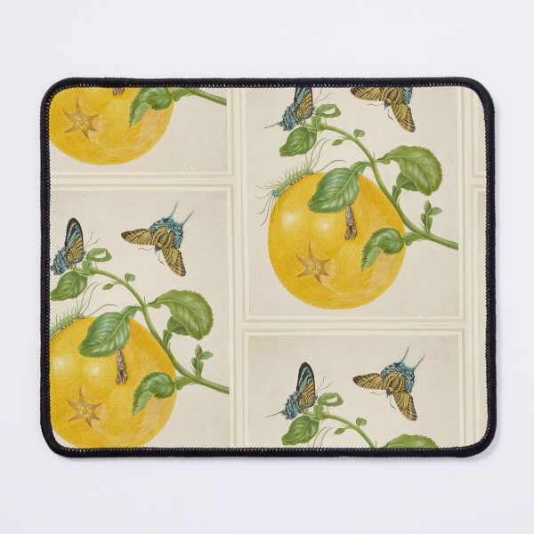 Item preview, Branch of Pomelo with Green-Banded Urania Moth Maria Sibylla Merian designed and sold by TeeARTHY.