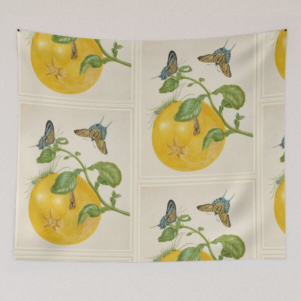 Item preview, Branch of Pomelo with Green-Banded Urania Moth  Maria Sibylla Merian  designed and sold by TeeARTHY.