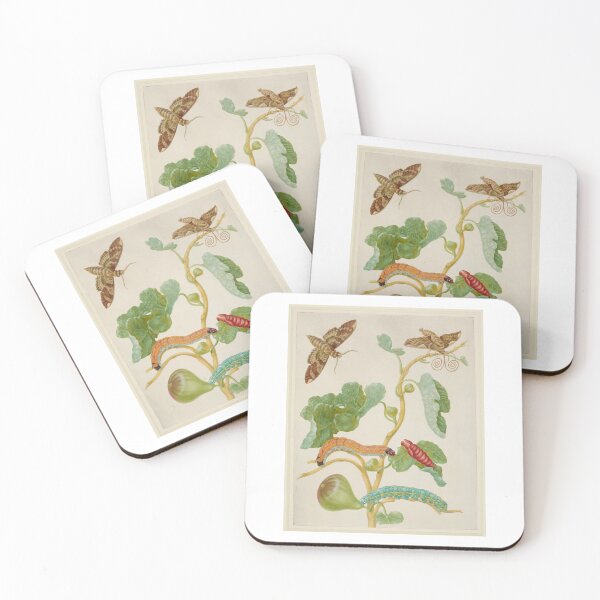 Item preview, Branch of Duroia eriopila with Zebra Swallowtail Butterfly Maria Sibylla Merian  designed and sold by TeeARTHY.