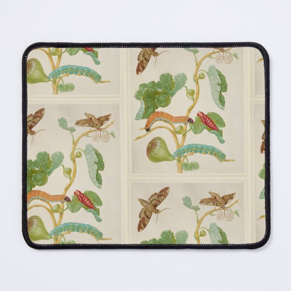 Item preview, Branch of a Fig with Sphinx Moths Maria Sibylla Merian designed and sold by TeeARTHY.