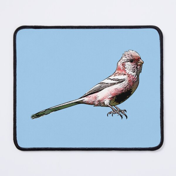 Item preview, Long-tailed Rosefinch Black Alternate Design  designed and sold by designsasstultd.