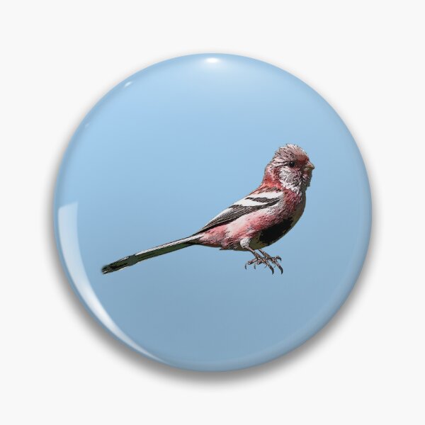 Item preview, Long-tailed Rosefinch Color Design  designed and sold by designsasstultd.