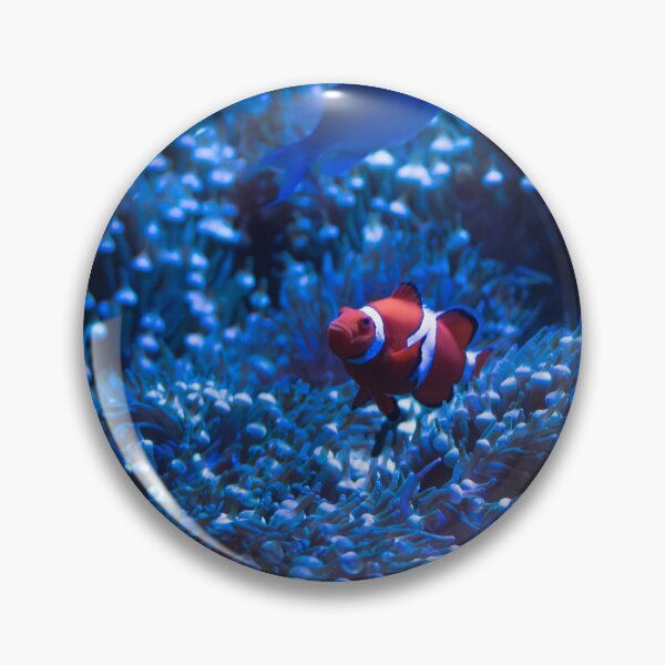 Artikelvorschau, Ich habe Nemo gefunden!! entworfen und verkauft von Split2ndPhotos.