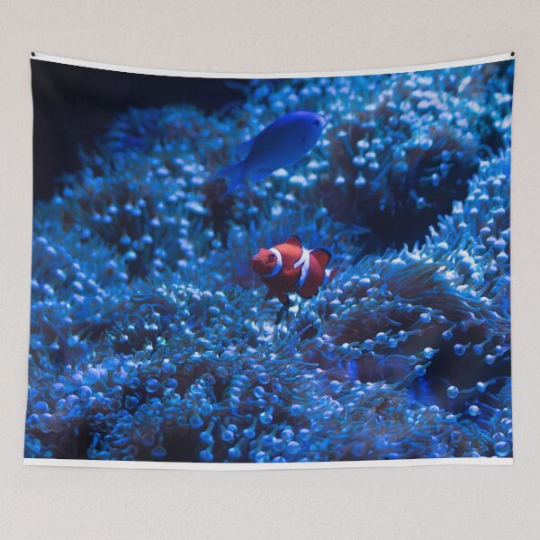 Item preview, ¡¡¡Encontré a Nemo!!! designed and sold by Split2ndPhotos.