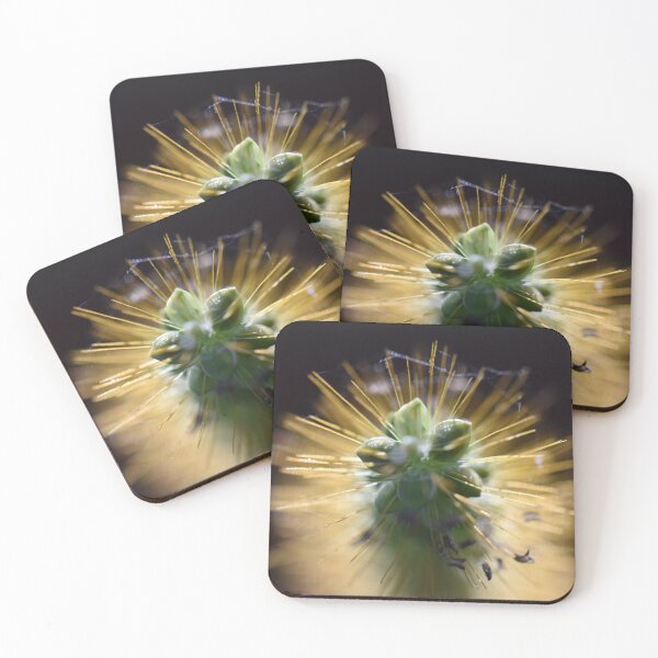 Item preview, Sparkling Plant designed and sold by Seth’s Brushstrokes and Clicks.