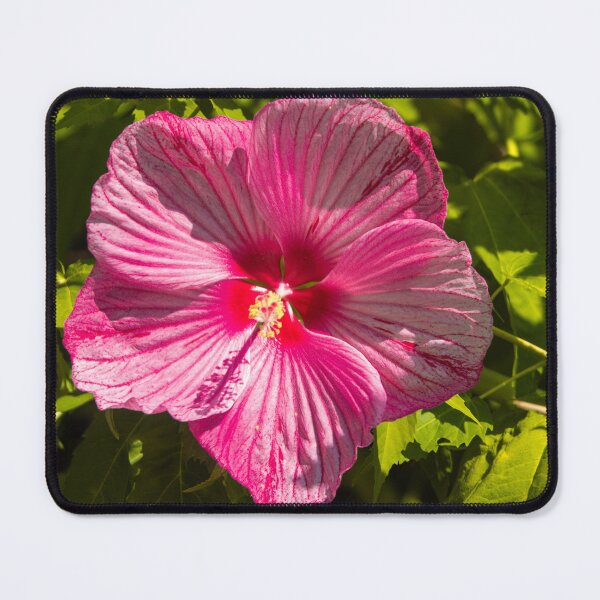 Item preview, Pink Wildflower designed and sold by Split2ndPhotos.