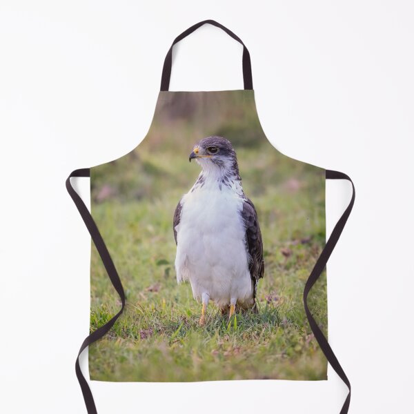 Item preview, Augur Buzzard Tanzania Africa designed and sold by PhotoArt by Joan Carroll.