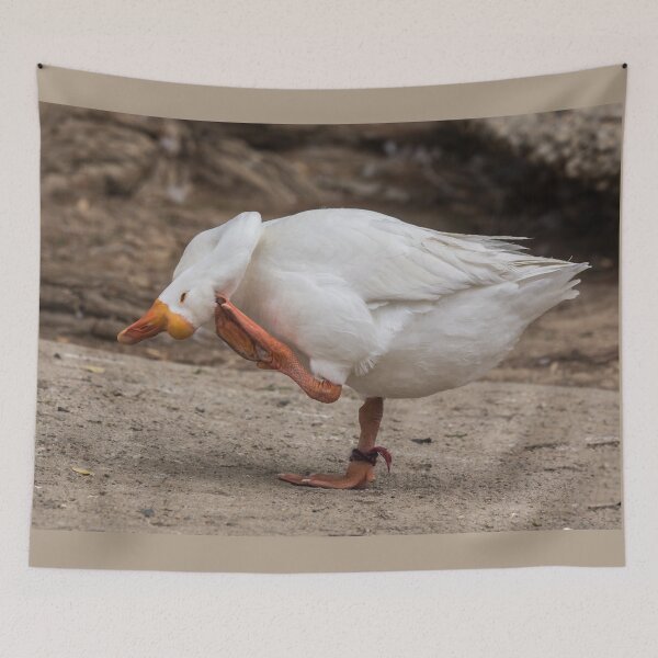 Item preview, When You Have An Itch, Scratch It! designed and sold by CarolM.