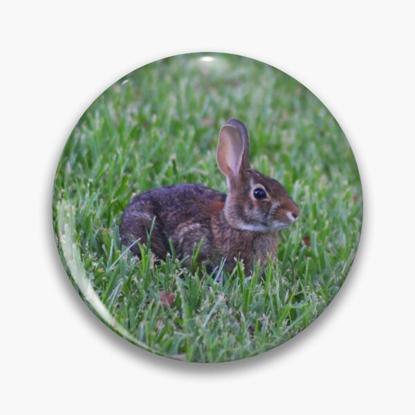 Item preview, Eastern Cottontail  designed and sold by Birdgirlcreates.