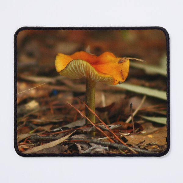 Item preview, An Orange Mushroom! designed and sold by Birdgirlcreates.