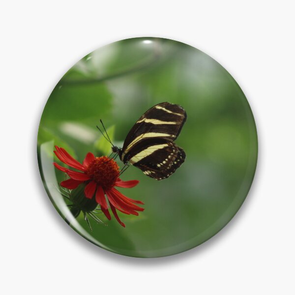 Item preview, Zebra Longwing designed and sold by Birdgirlcreates.