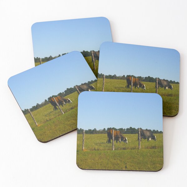 Item preview, Texas Cattle designed and sold by KoalaTeaPhotogr.