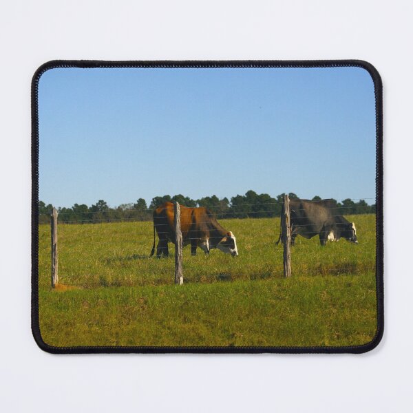 Item preview, Texas Cattle designed and sold by KoalaTeaPhotogr.