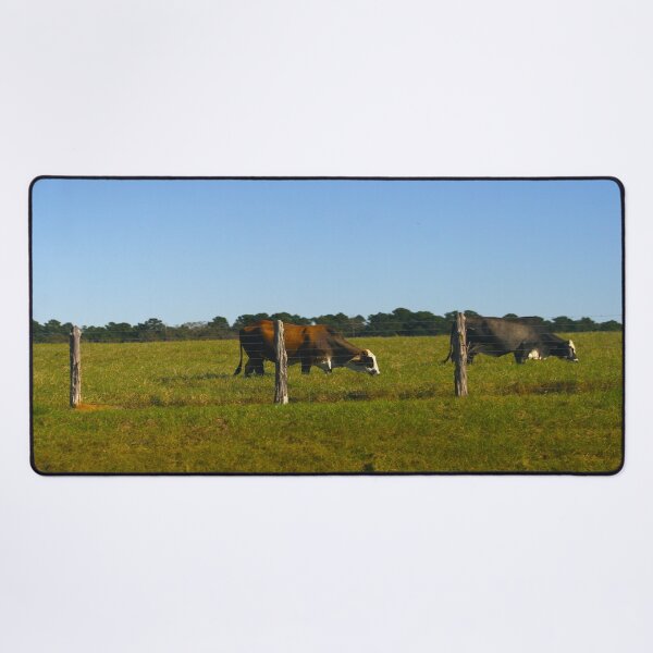 Item preview, Texas Cattle designed and sold by KoalaTeaPhotogr.