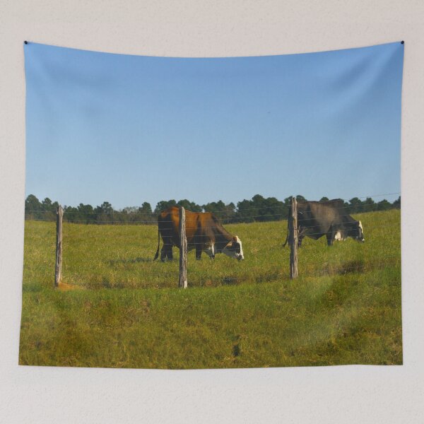 Item preview, Texas Cattle designed and sold by KoalaTeaPhotogr.